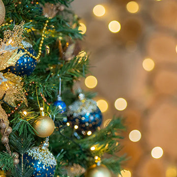 How to keep your Christmas tree alive and looking good