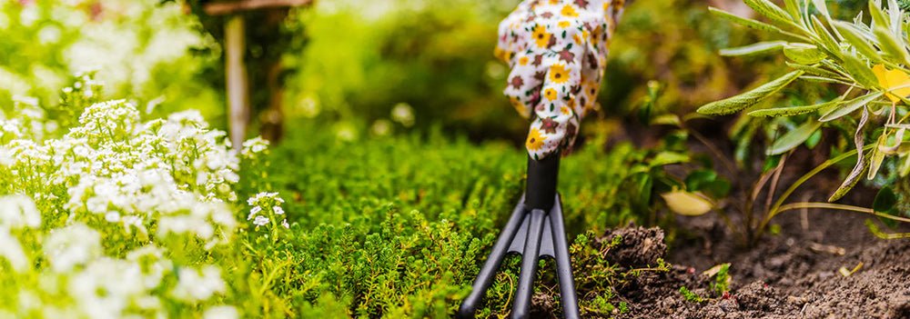Our top 10 gardening tips for March - Home & Garden Extras