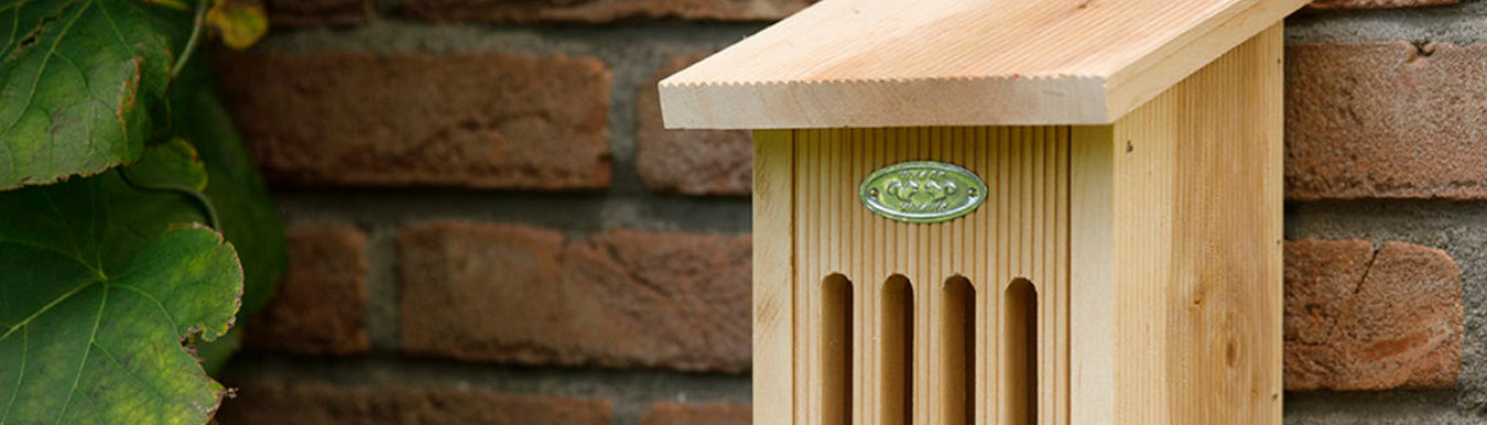 Bird Boxes & Insect Houses