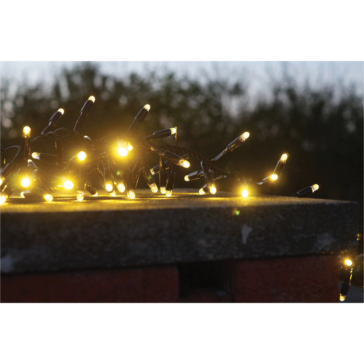 Eagle Connect LED Cluster Lights Black Rubber