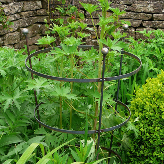 Heavy Duty Peony Cage Plant Support