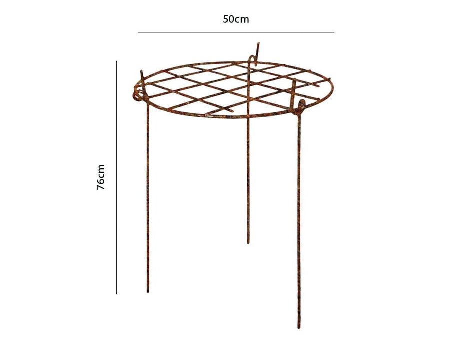 Rusty Grow Through Plant Supports - Round