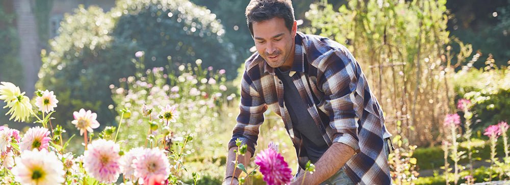 Our top 10 gardening tips for August - Home & Garden Extras