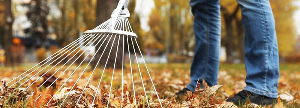 Our top 10 gardening tips for November - Home & Garden Extras