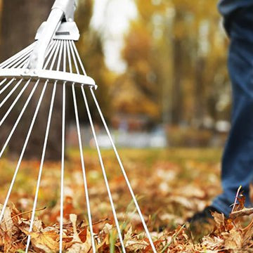 Our top 10 gardening tips for November - Home & Garden Extras