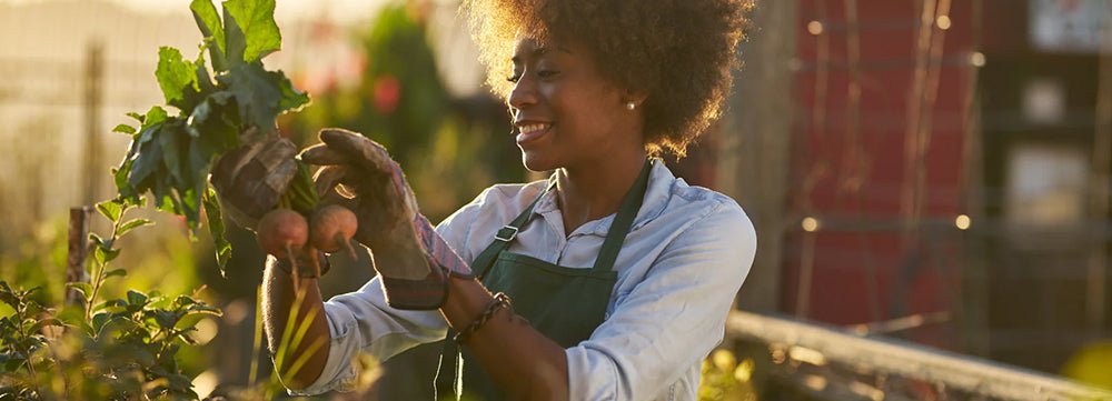 Our top 10 gardening tips for September - Home & Garden Extras