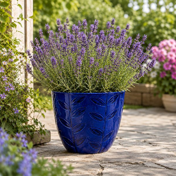 20% off Pots & Planters in our Summer Sale - Home & Garden Extras