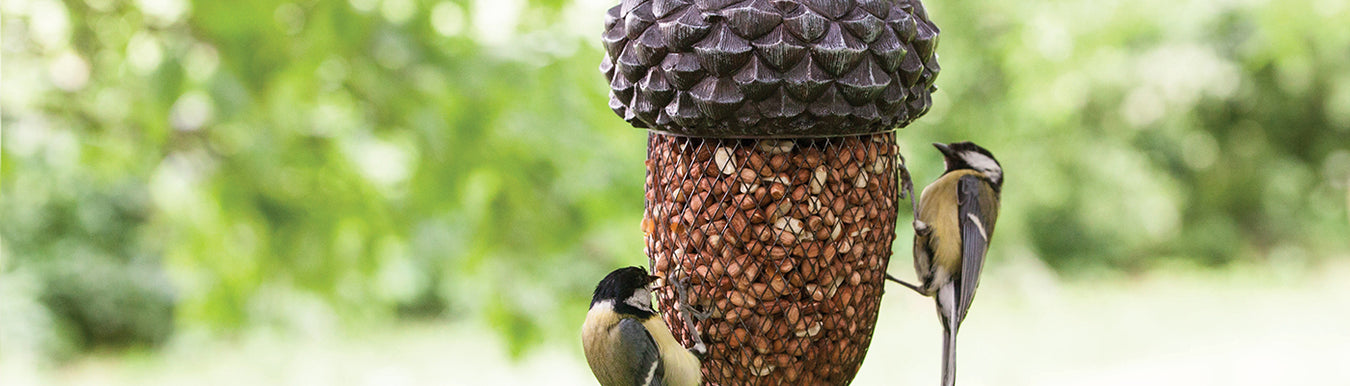 Bird Food & Bird Feeders