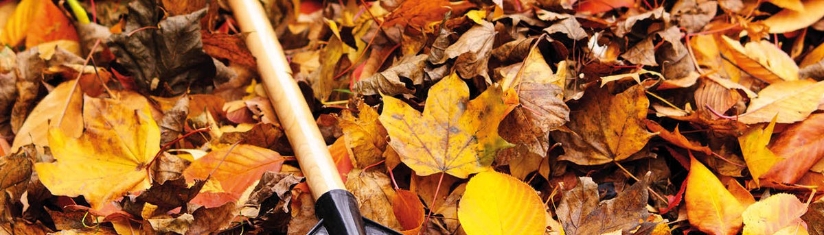 Autumn & Winter - Home & Garden Extras