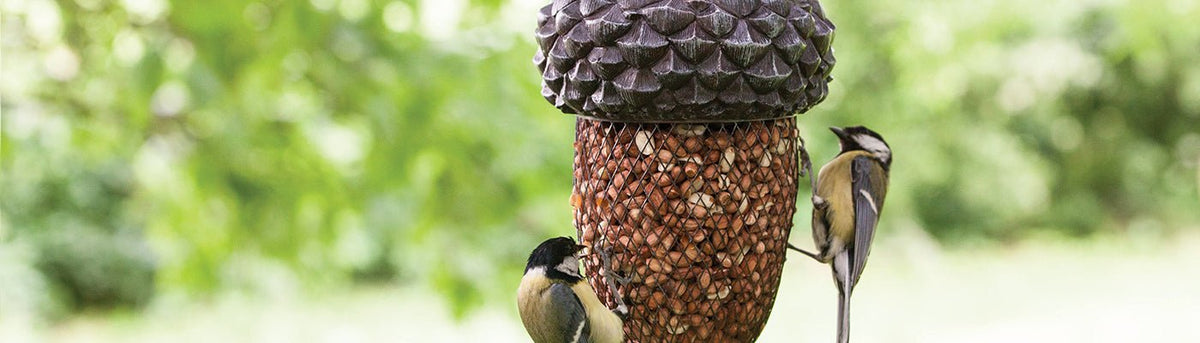 Bird Food & Bird Feeders - Home & Garden Extras