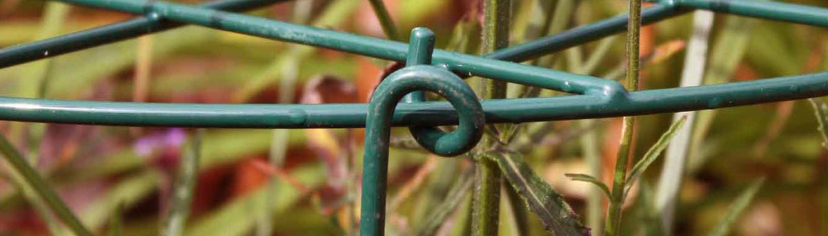 Cages & Grow Throughs Plant Supports - Home & Garden Extras