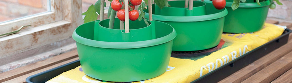 Grow Your Own - Home & Garden Extras