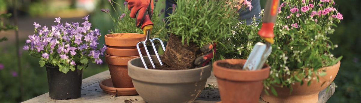 Hand Tools - Home & Garden Extras
