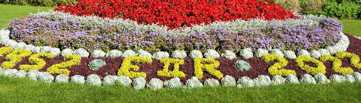 Jubliee Specials - Home & Garden Extras