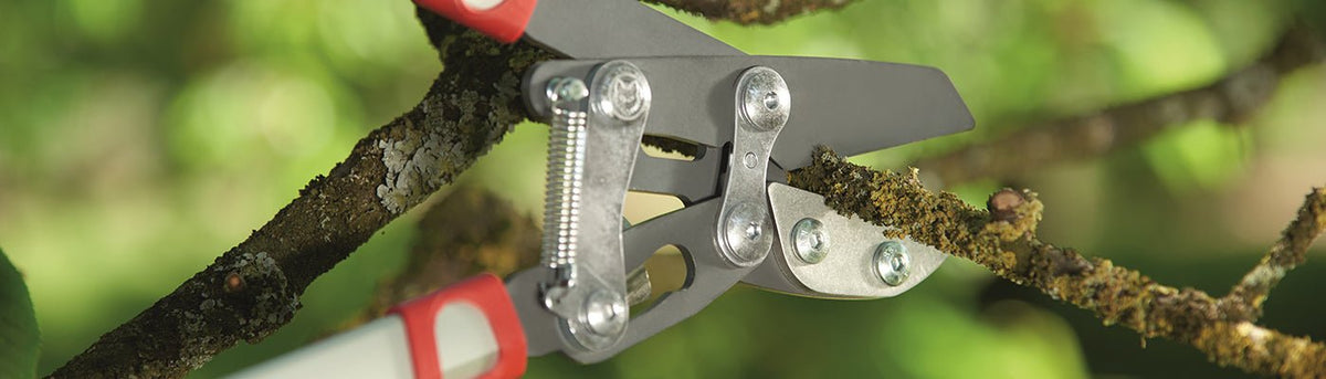 Loppers - Home & Garden Extras