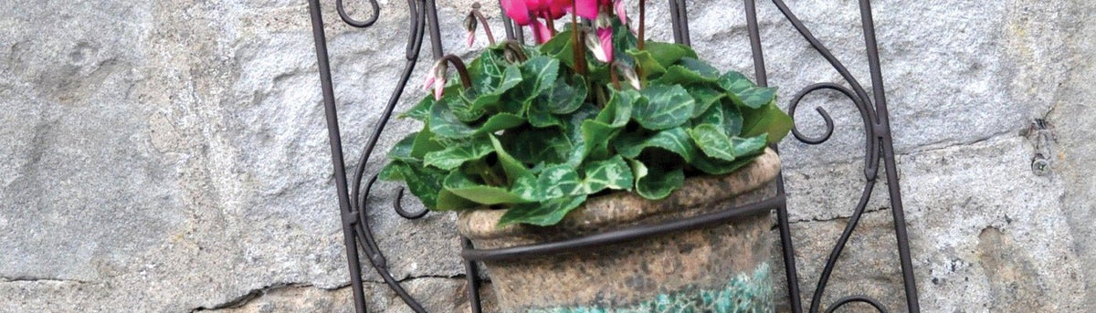 Planters - Home & Garden Extras