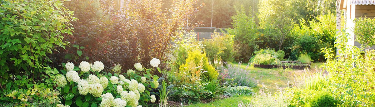 Spring & Summer - Home & Garden Extras
