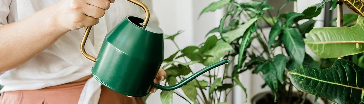 Watering - Home & Garden Extras