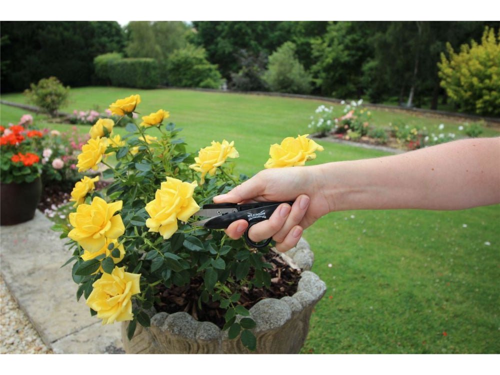 Deadheading Snips_Pruners