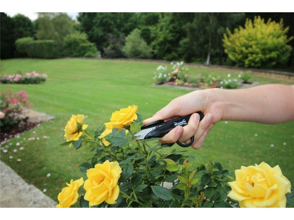 Deadheading Snips_Pruners