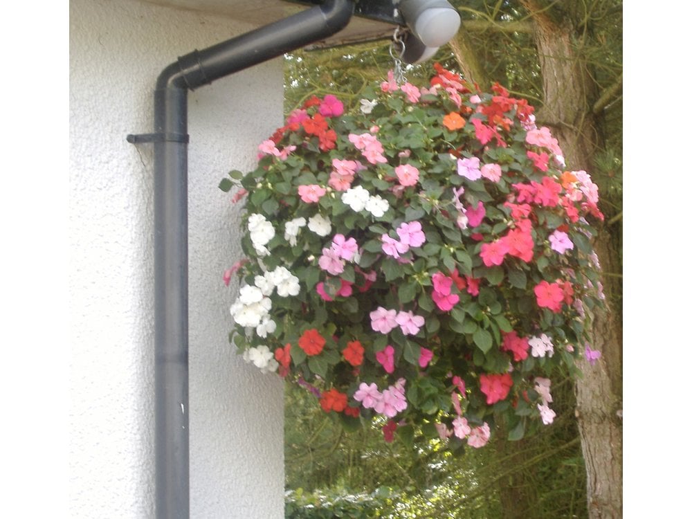 12" Easy - fill Hanging Basket_Hanging Baskets