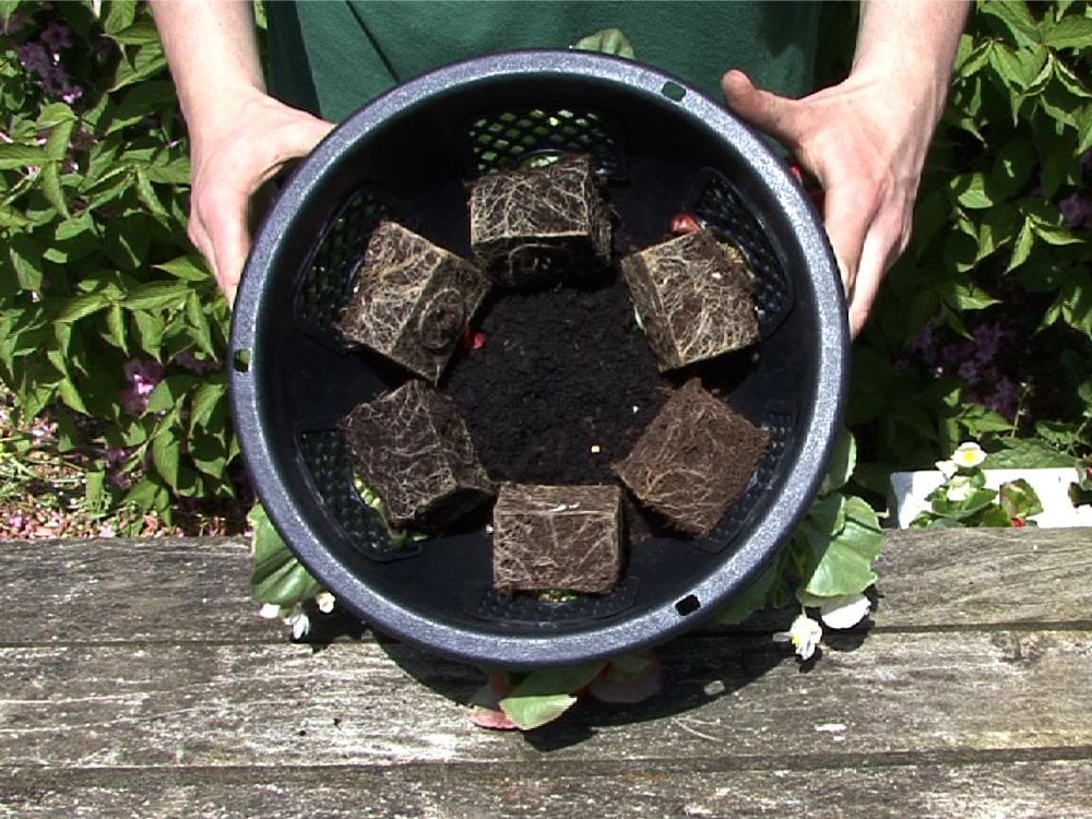 12" Easy - fill Hanging Basket_Hanging Baskets