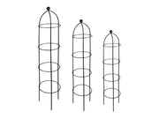 Growing Obelisks_Obelisks