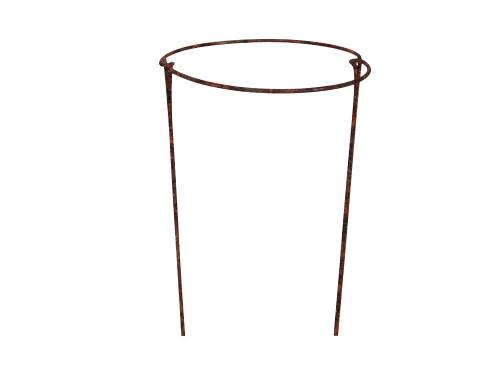 Rusty Bow Plant Supports - Raw Steel Designed to Rust_Bows Hoops Props & Twists