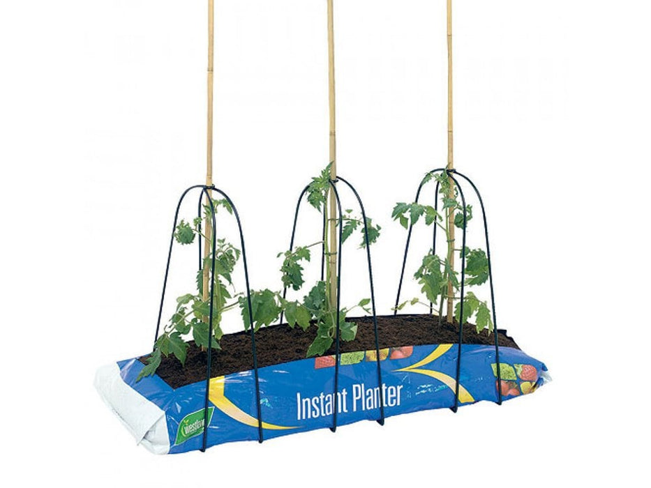 grow bag plant supports Grow Bag Supports