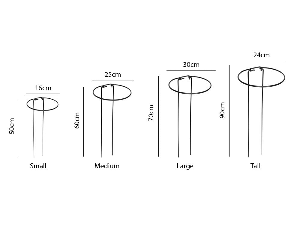 Plant Support Hoops_Bows Hoops Props & Twists