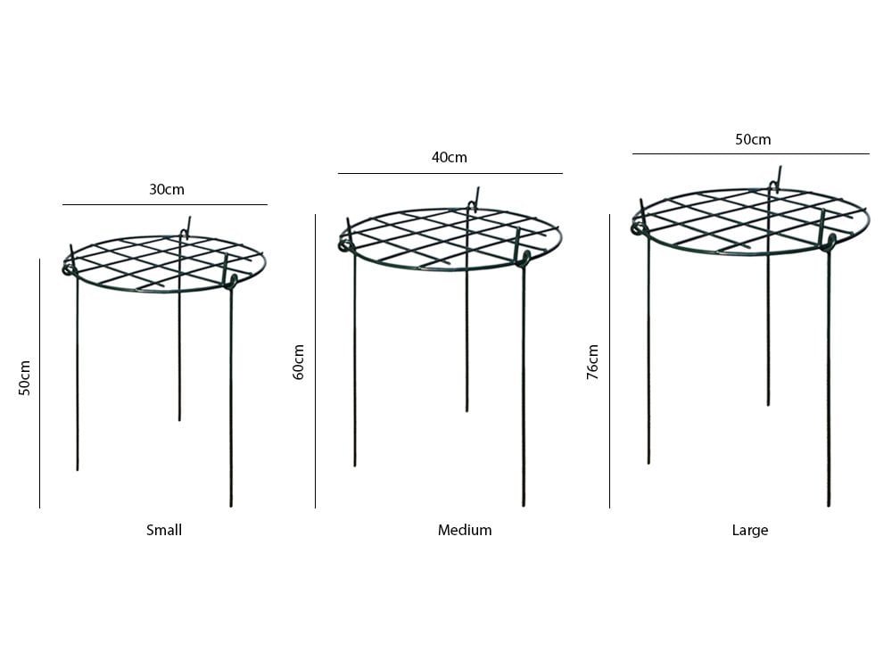 Grow Through Plant Supports - Round - Green_Cages & Grow Throughs Plant Supports