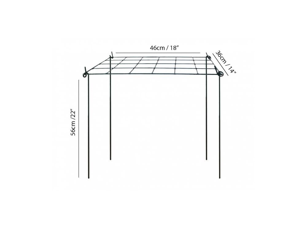 Grow Through Plant Supports - Rectangular_Cages & Grow Throughs Plant Supports