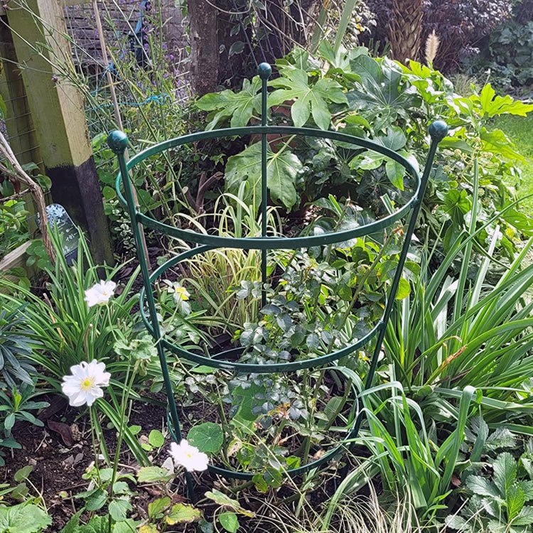 Heavy Duty Peony Cage Plant Support_Cages & Grow Throughs Plant Supports