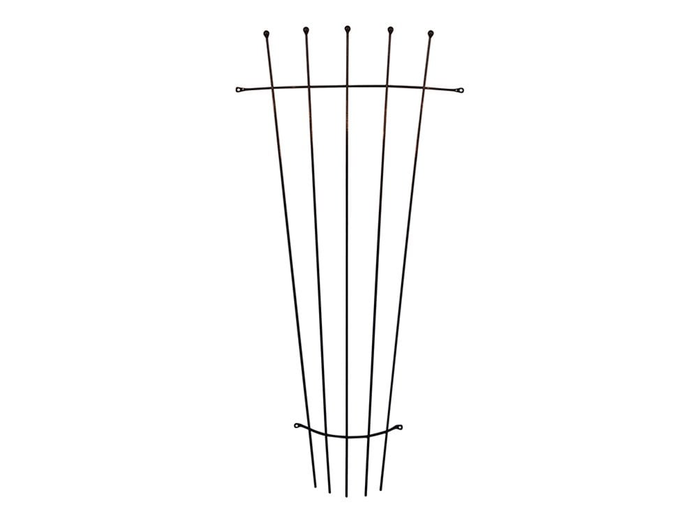 Wall Mounted Fan Trellises_Garden Trellises