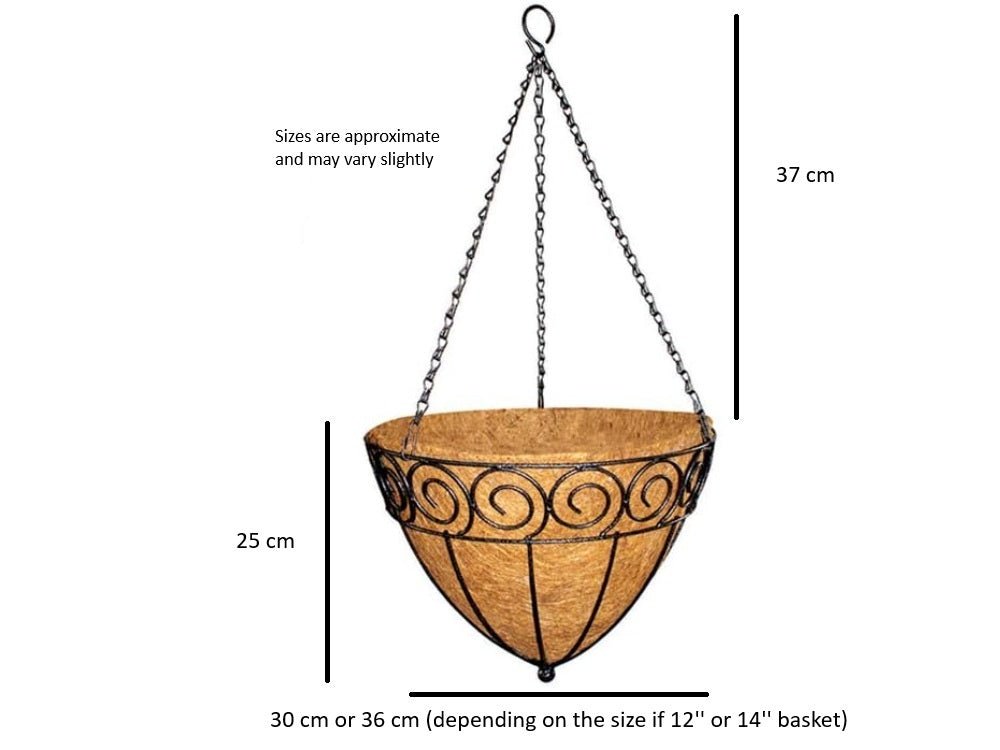 Hanging Basket Cone - Scrolled_Hanging Baskets