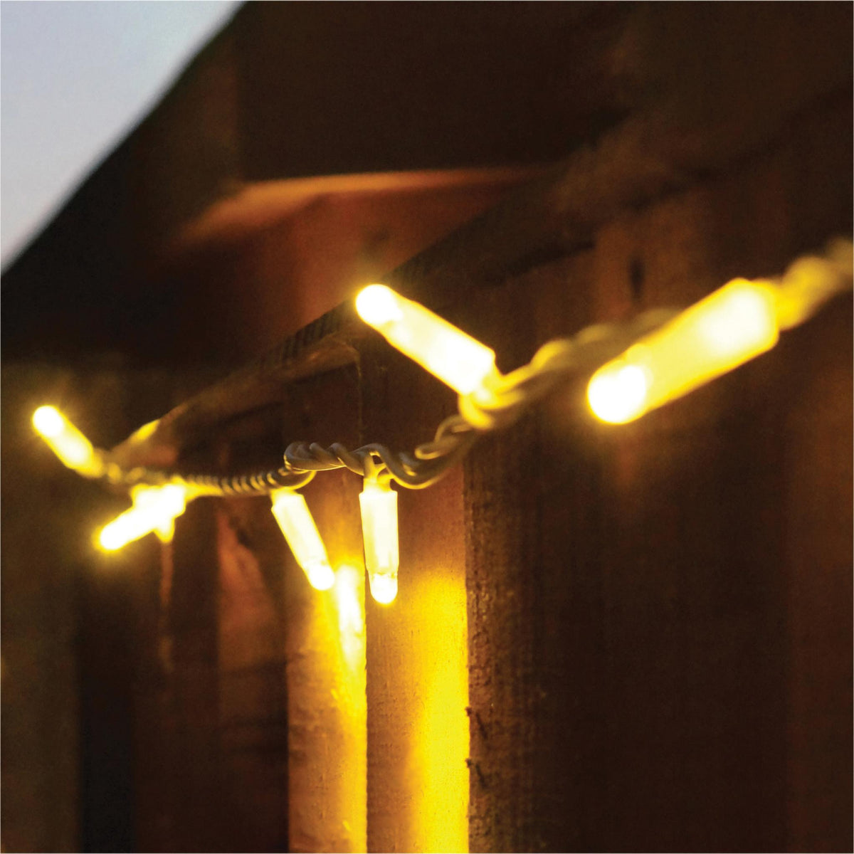 Eagle Connect LED String Lights With White Rubber Cable