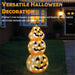 Fxlab Acrylic Pumpkin 80 White LED - feature detail 4