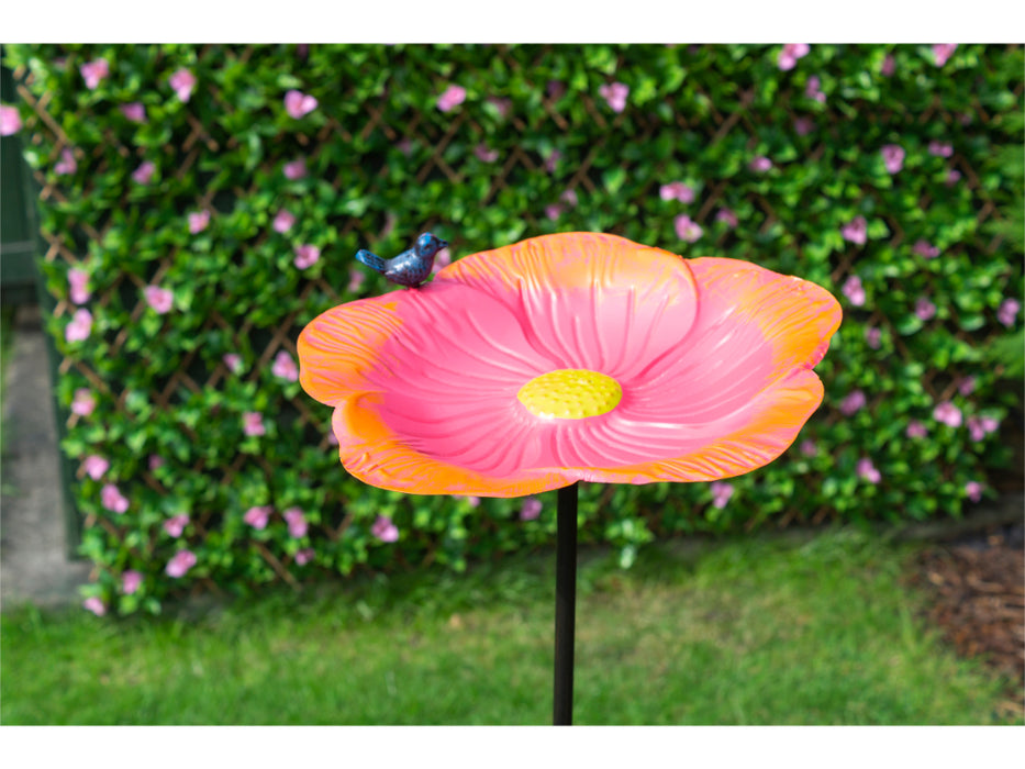 St Helens Home and Garden Ornamental Free Standing, Weather Resistant, Pedestal style, Easy Assemble Bird Bath