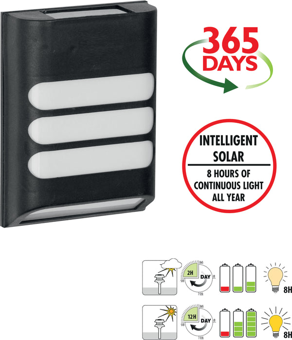Rana Intelligent Solar LED Wall Light