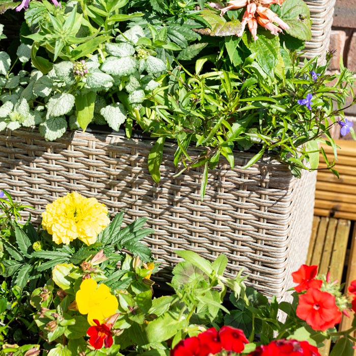 3 Tier Rattan Planter Design — Home & Garden Extras