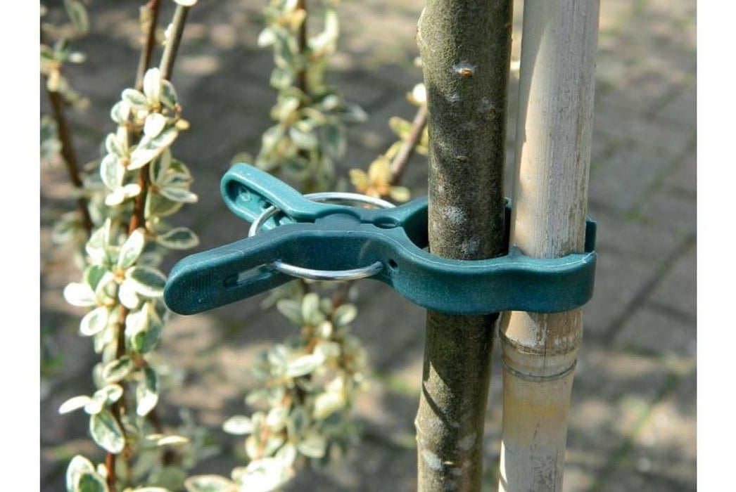 Spring Plant Clips