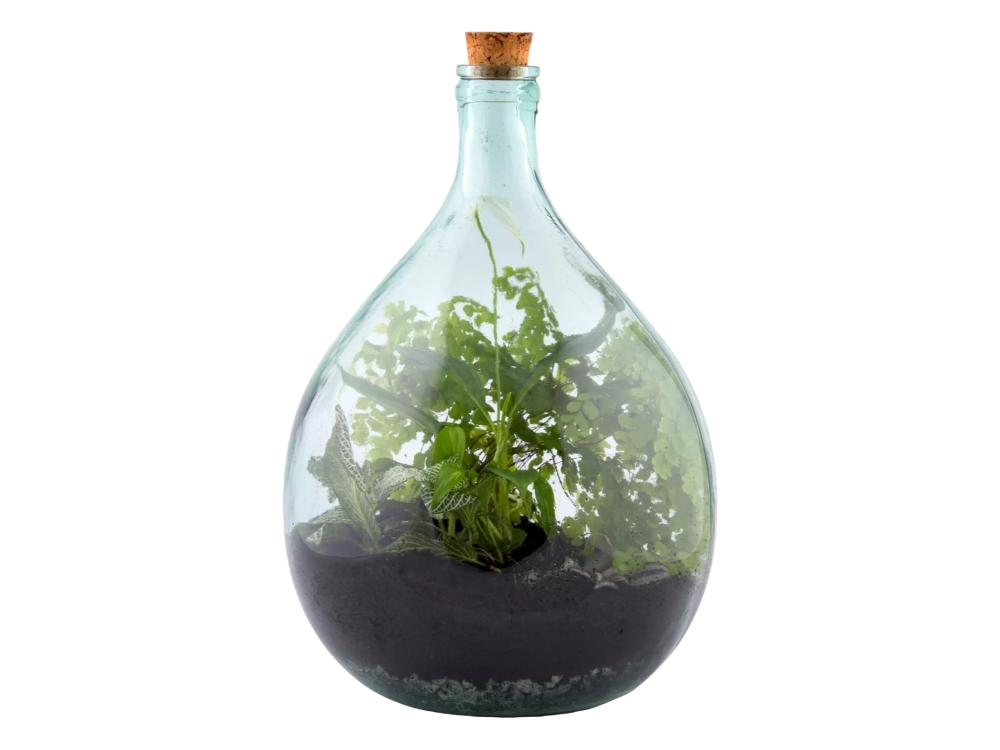 Closed Bottle Terrarium Kit – 5L DIY Glass Garden Set_Terrariums