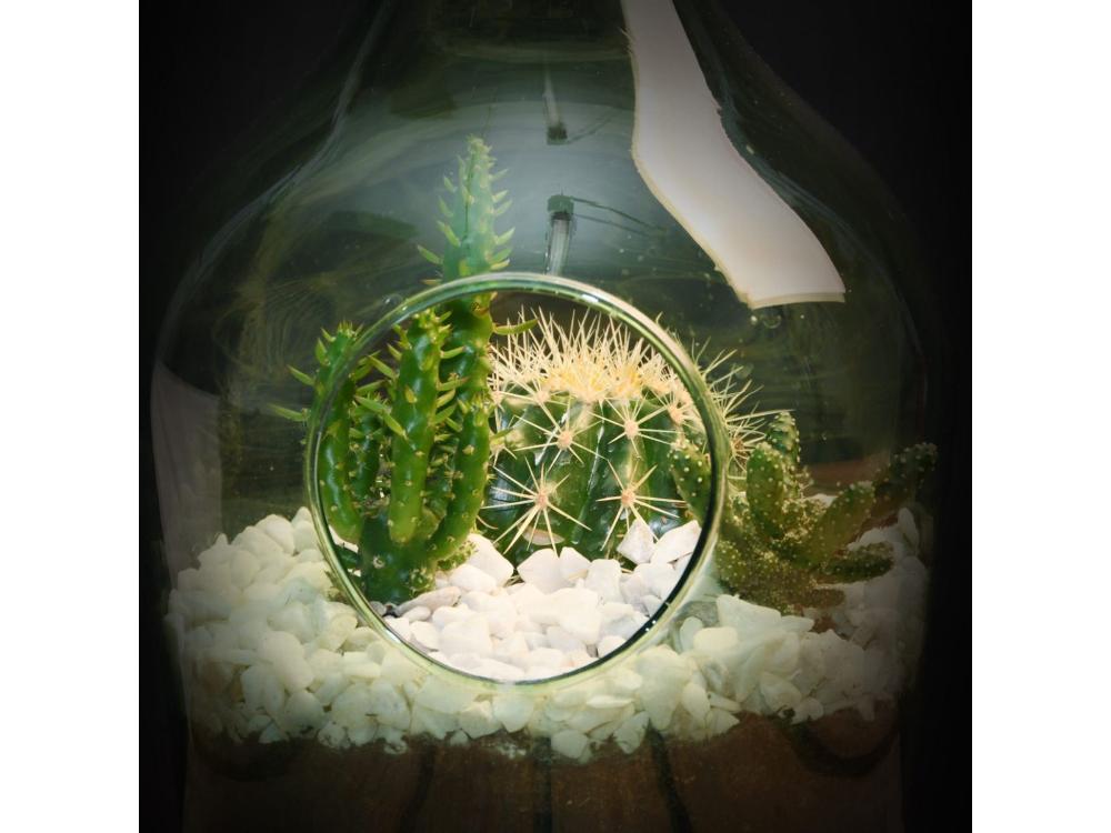 Open Bottle Terrarium Kit – 3L DIY Glass Garden Set_Terrariums