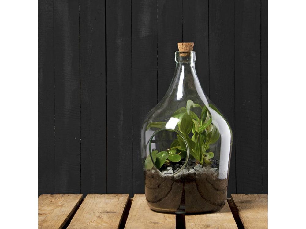 Open Bottle Terrarium Kit – 3L DIY Glass Garden Set_Terrariums