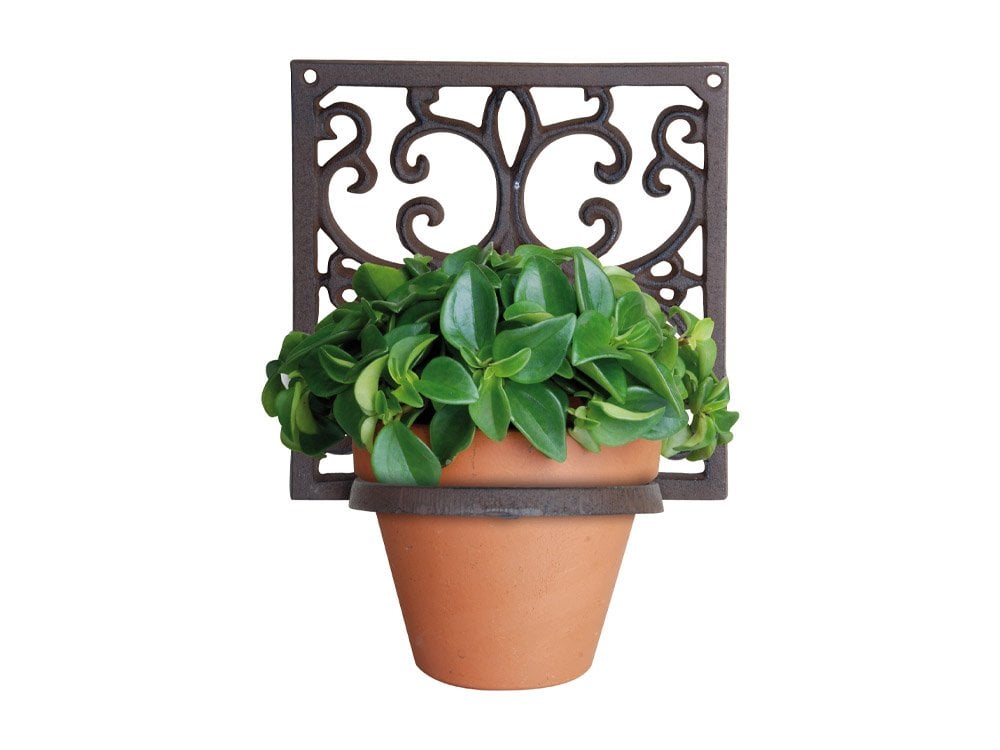 Cast Iron Wall Mounted Pot Holder_Wall Mounted Planters