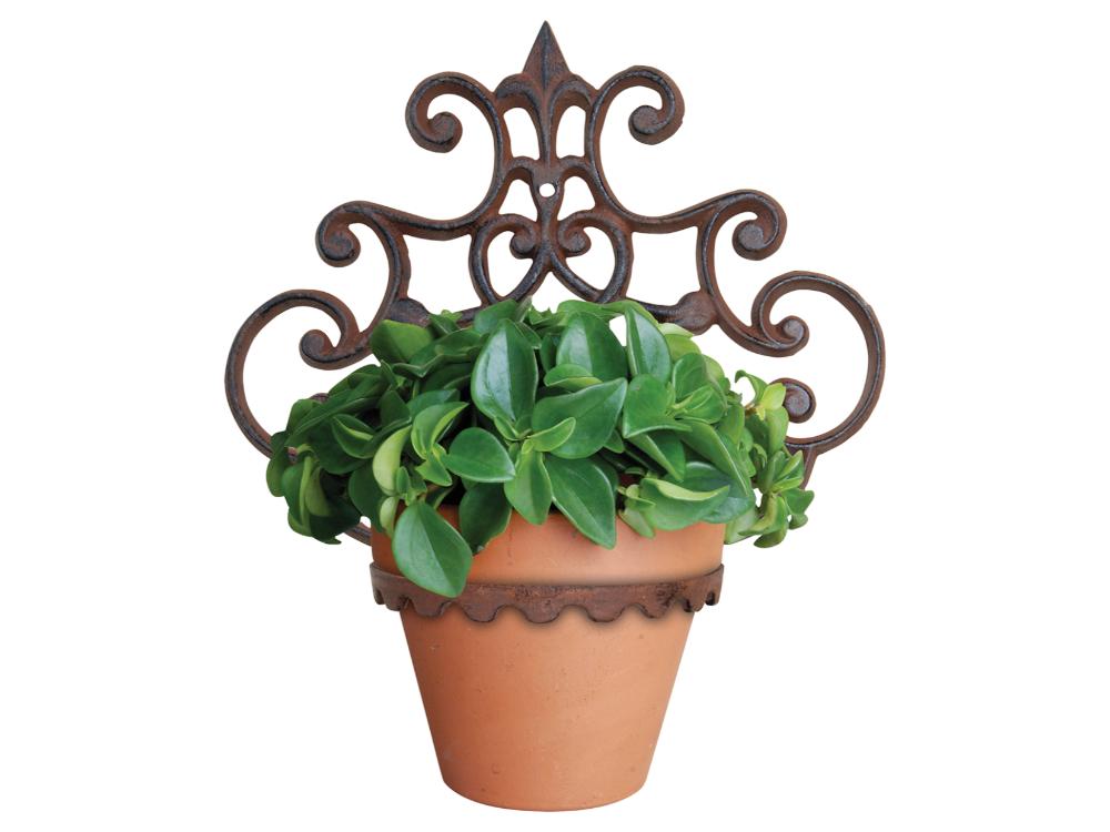 Decorative Cast Iron Wall Mounted Pot Holder - 1 Pot_Wall Mounted Planters