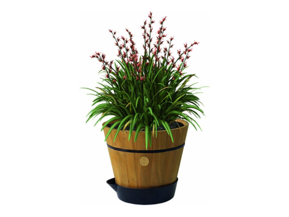 Self Watering Saucer for Medium Barrel_Flower Pots