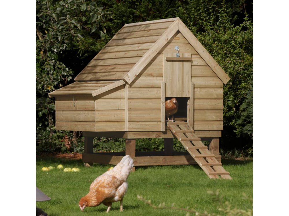 Chicken Coop_Wooden Sheds