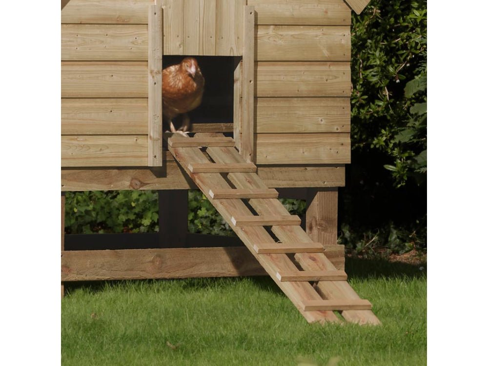 Chicken Coop_Wooden Sheds