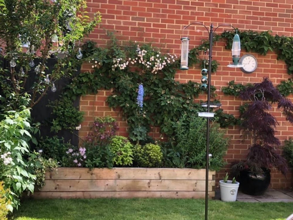 Devonshire Planters_